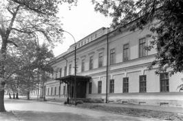 Чеховская гимназия